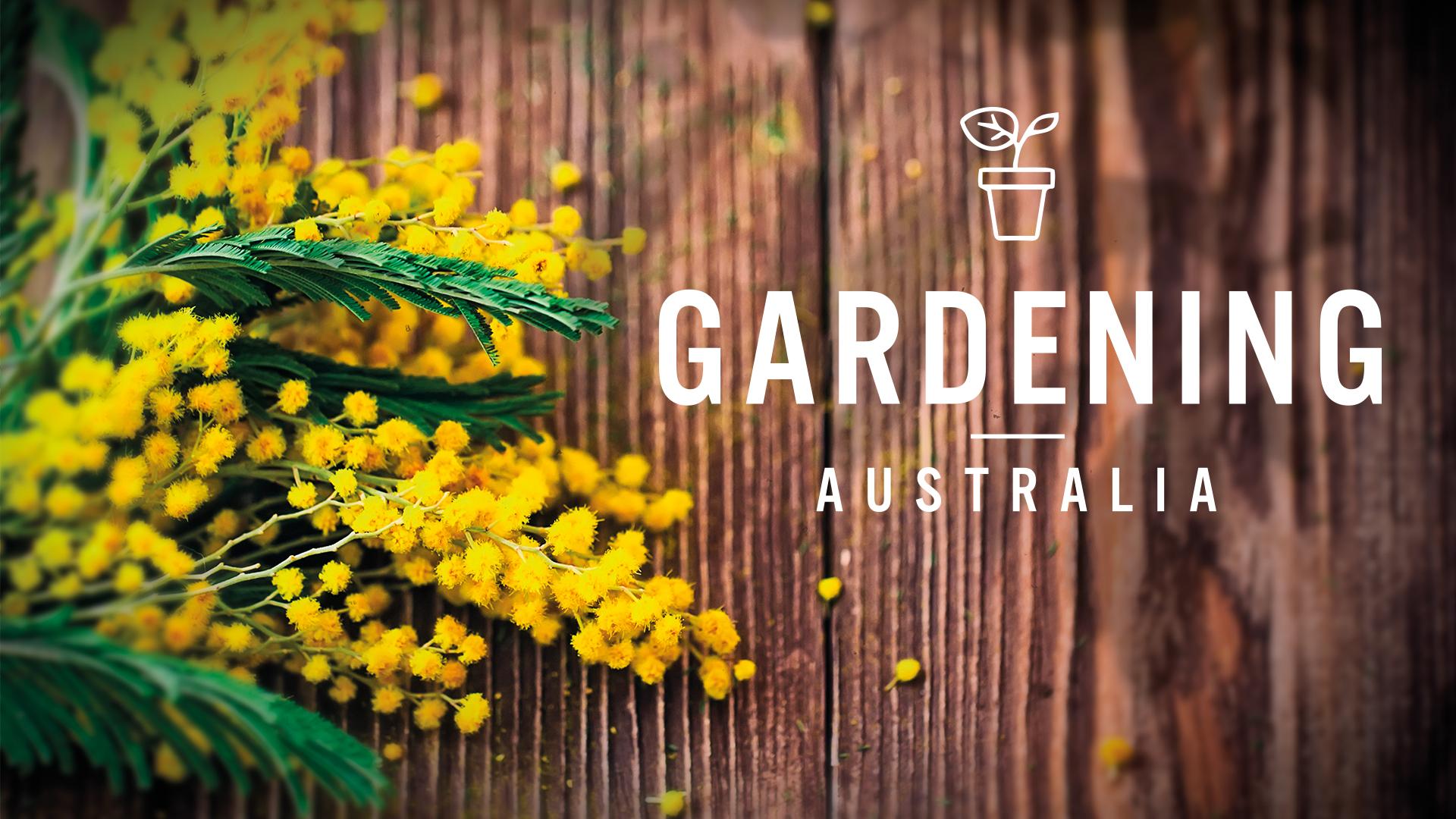 Gardening Australia