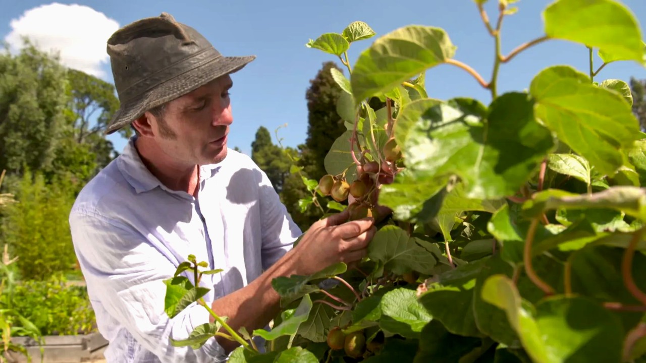 Gardening Australia 32-6