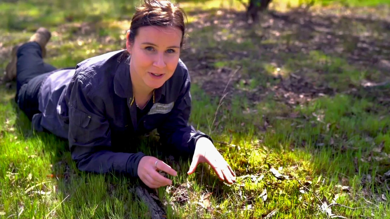 Gardening Australia 32-7