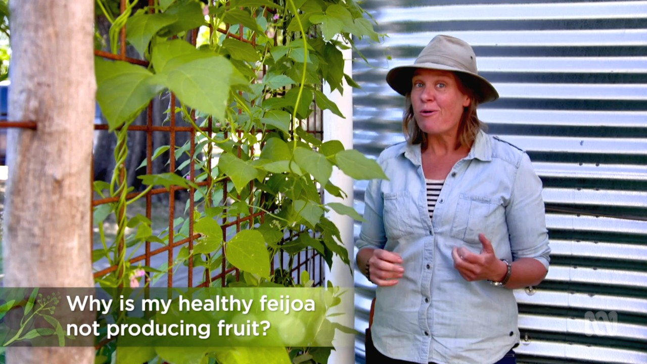 Gardening Australia 32-9