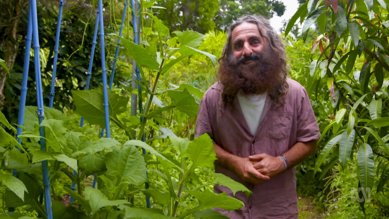 Gardening Australia 32-11