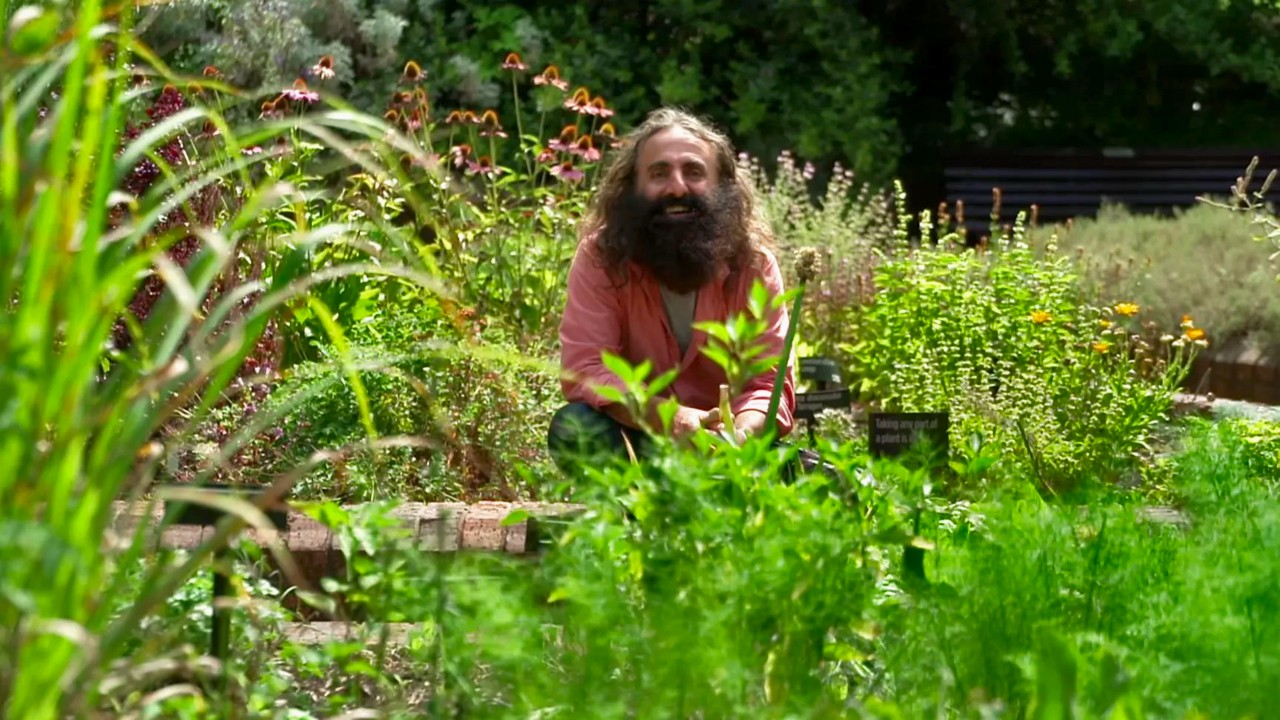 Gardening Australia 32-13