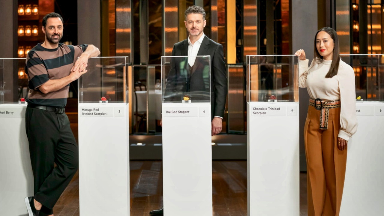 MasterChef 13-29