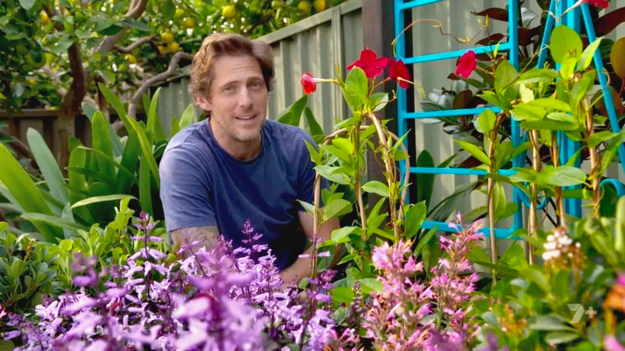Better Homes and Gardens 27-17