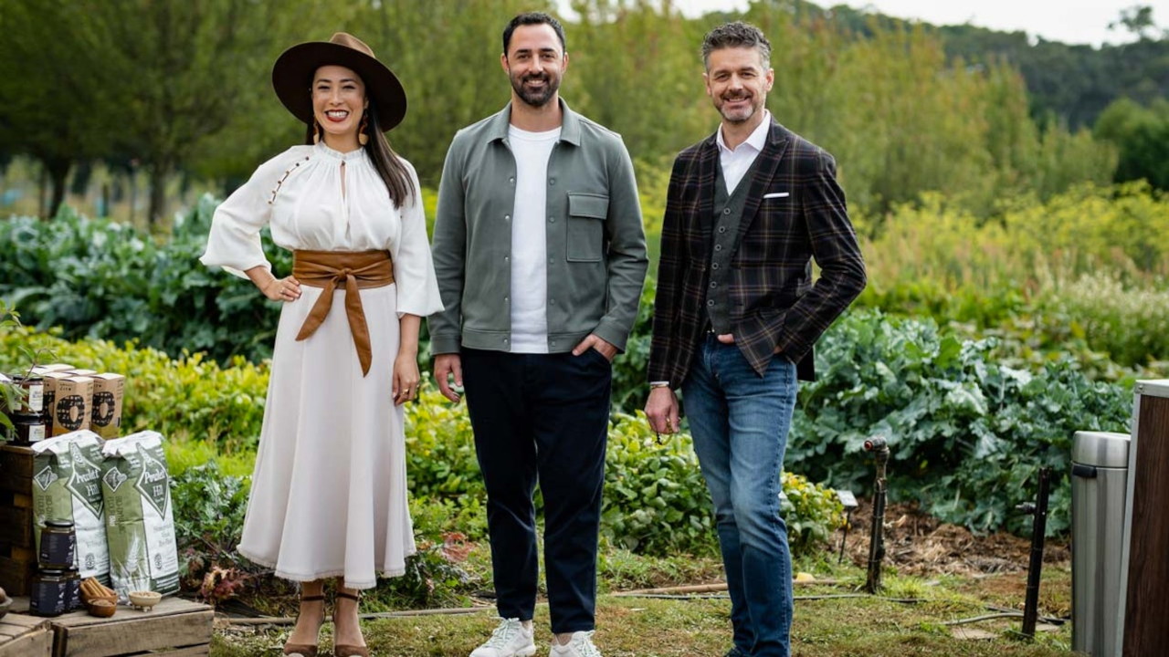 MasterChef 13-37