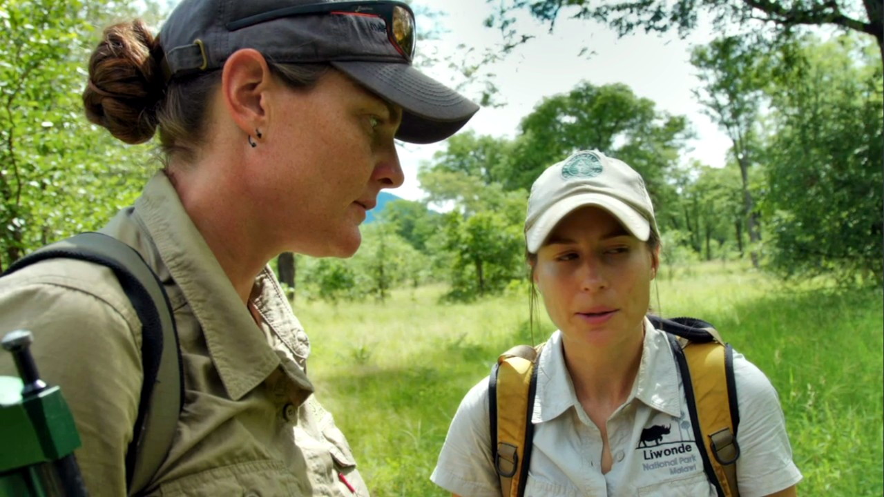 Malawi Wildlife Rescue 1-2