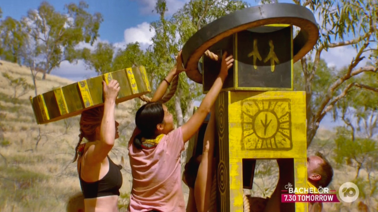 Survivor 8-3