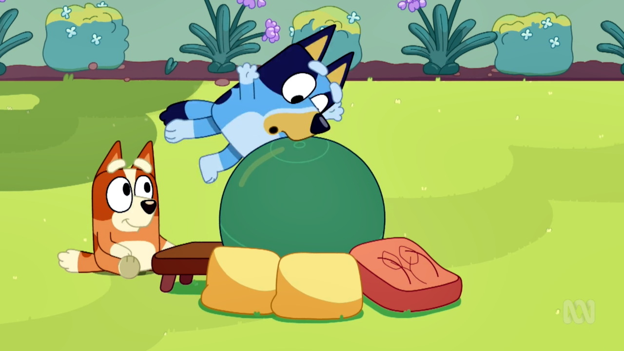 Bluey 3-3