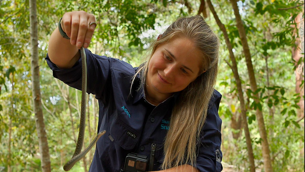 Aussie Snake Wranglers 1-3