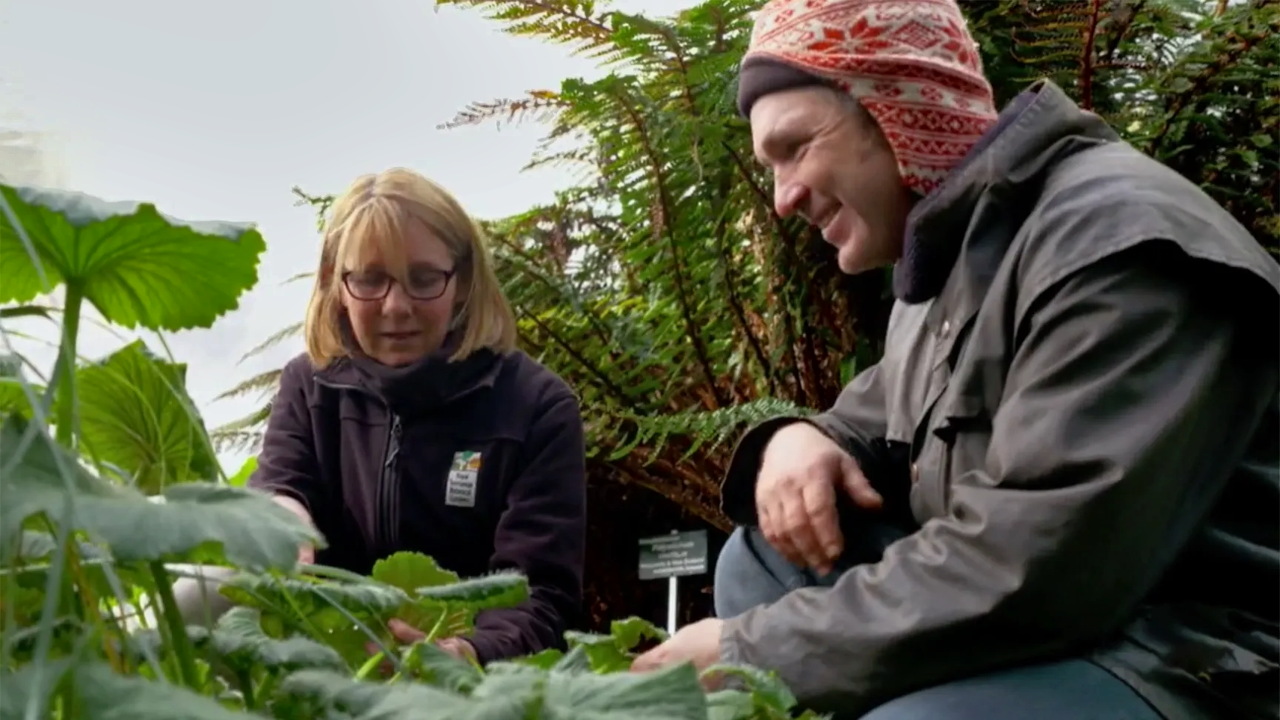 Gardening Australia 32-32