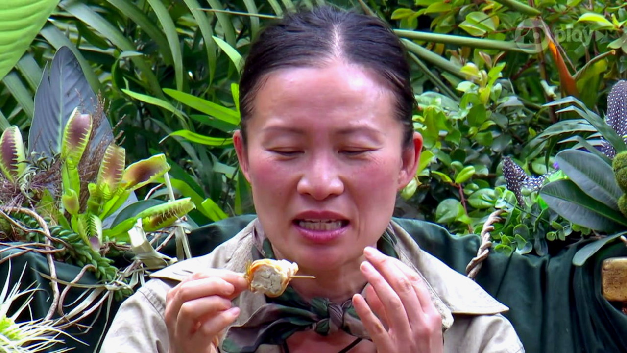 I’m a Celebrity 8-17