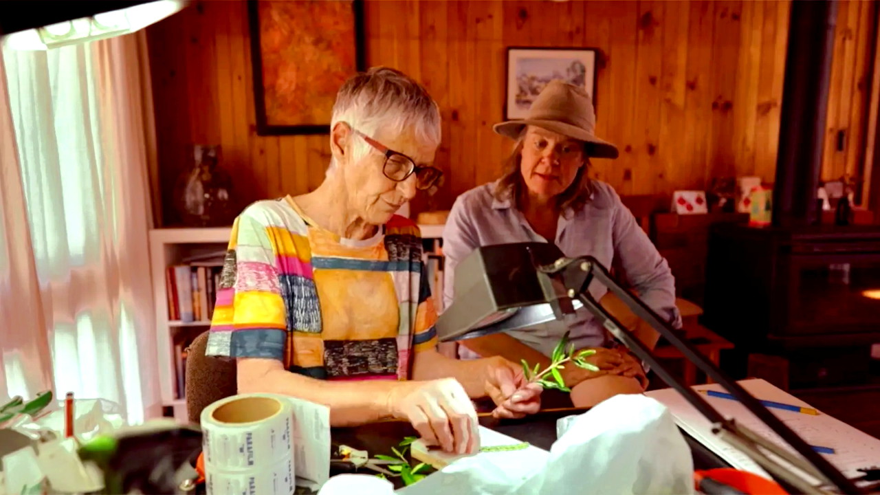 Gardening Australia 32-38