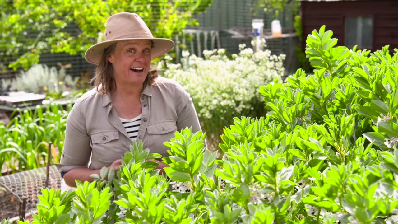 Gardening Australia 33-2
