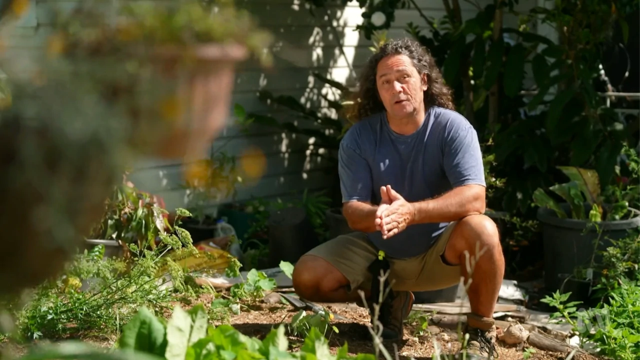 Gardening Australia 33-3