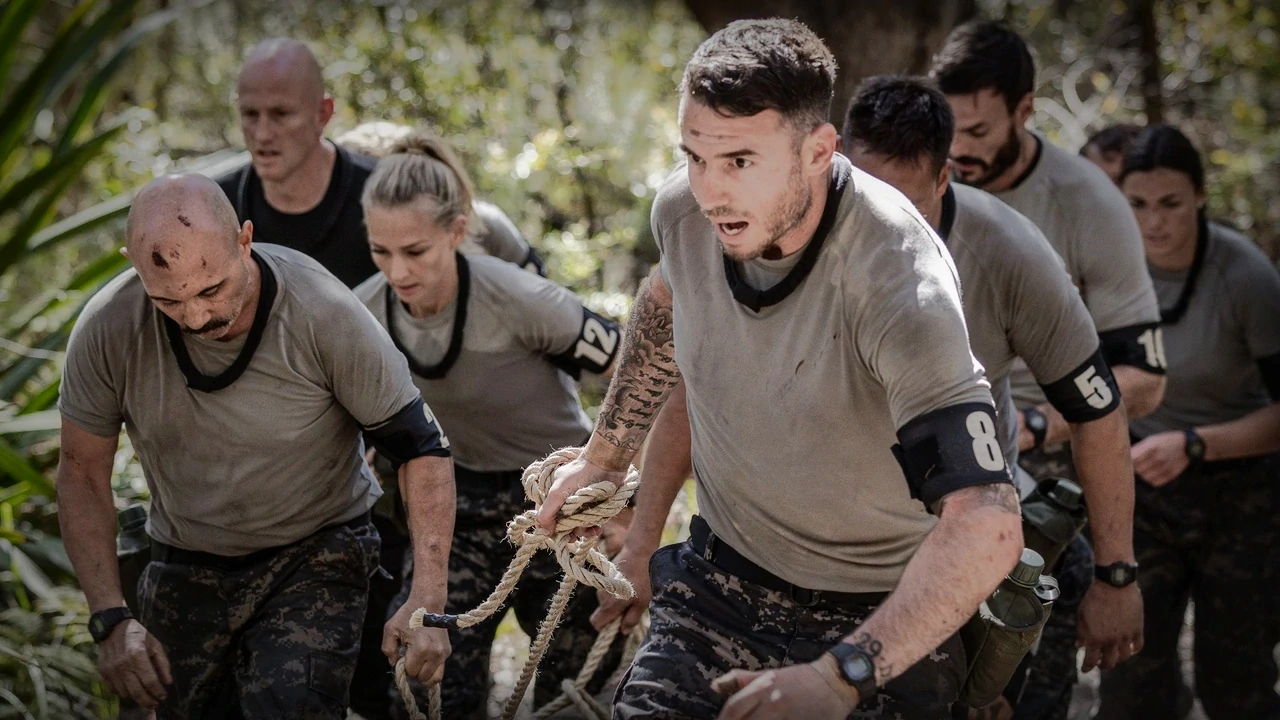 SAS 4-8