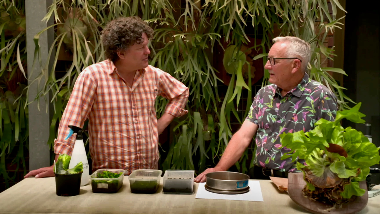 Gardening Australia 33-12