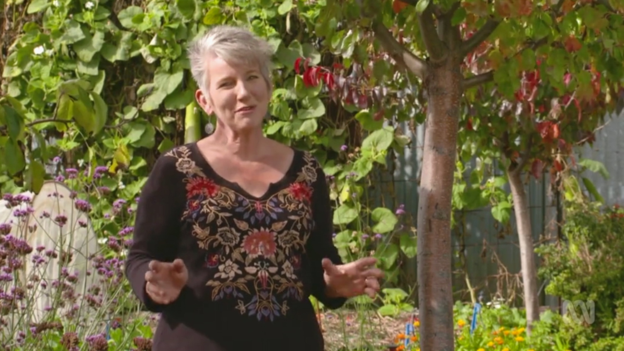 Gardening Australia 33-13