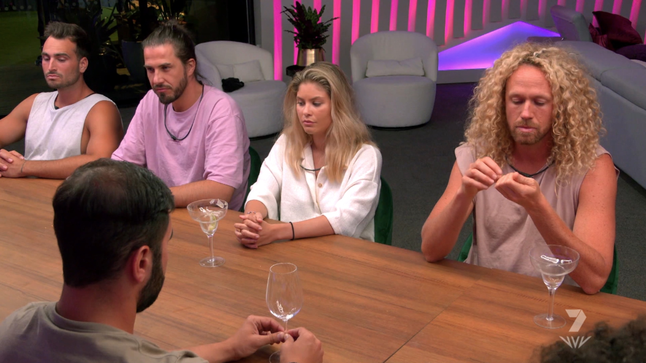 Big Brother 14-17