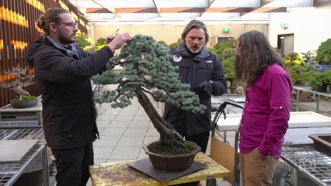 Gardening Australia 33-18