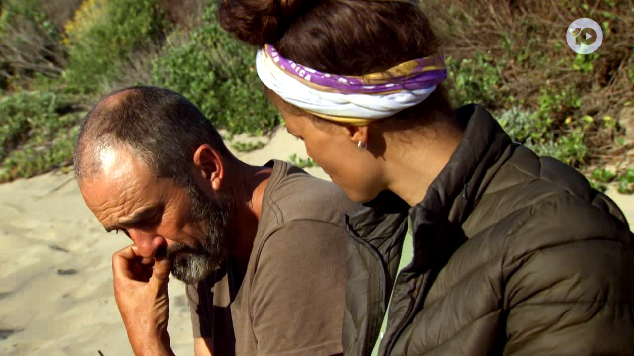 Survivor 9-14