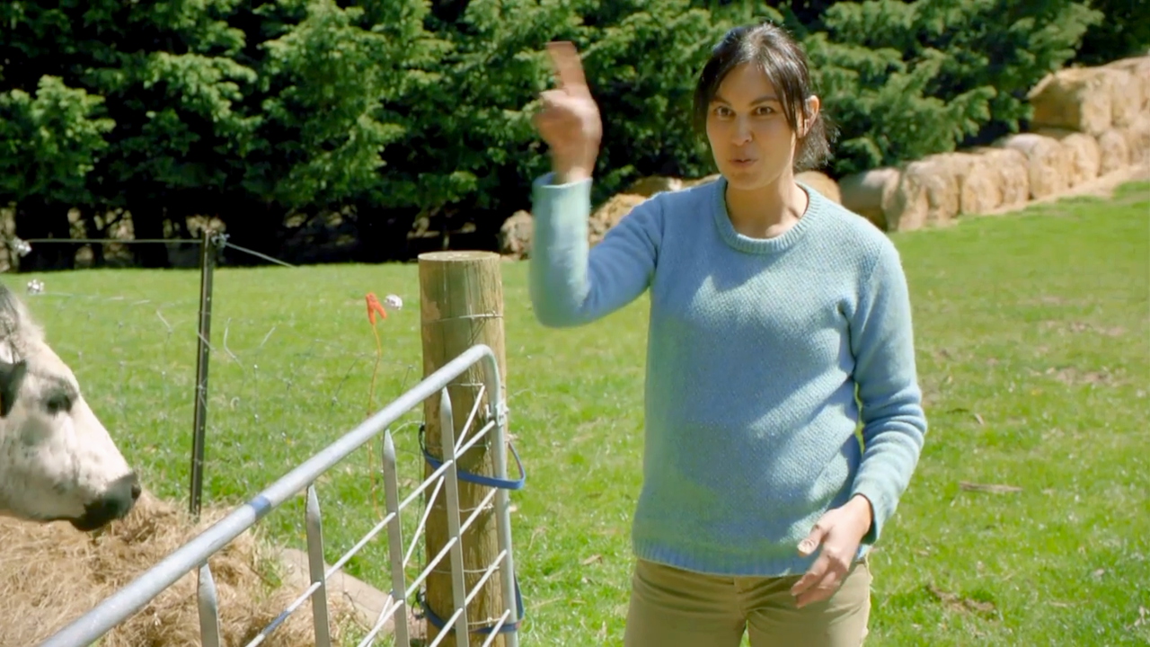 Nadia’s Farm 1-7