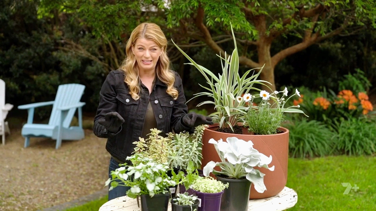Better Homes and Gardens 28-37