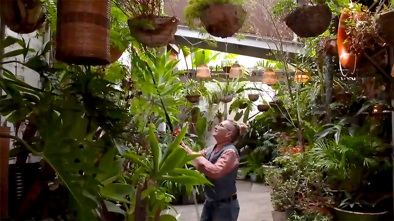 Gardening Australia 33-32