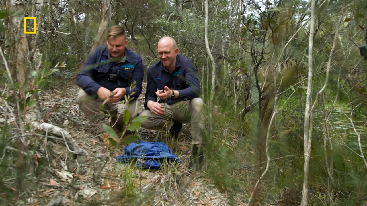 Aussie Snake Wranglers 2-11
