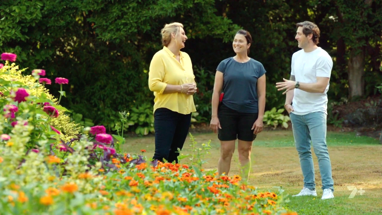 Better Homes and Gardens 29-3