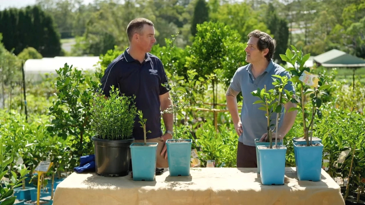 Better Homes and Gardens 29-6