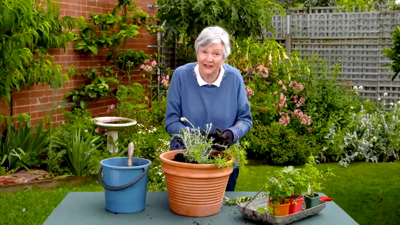 Gardening Australia 34-5