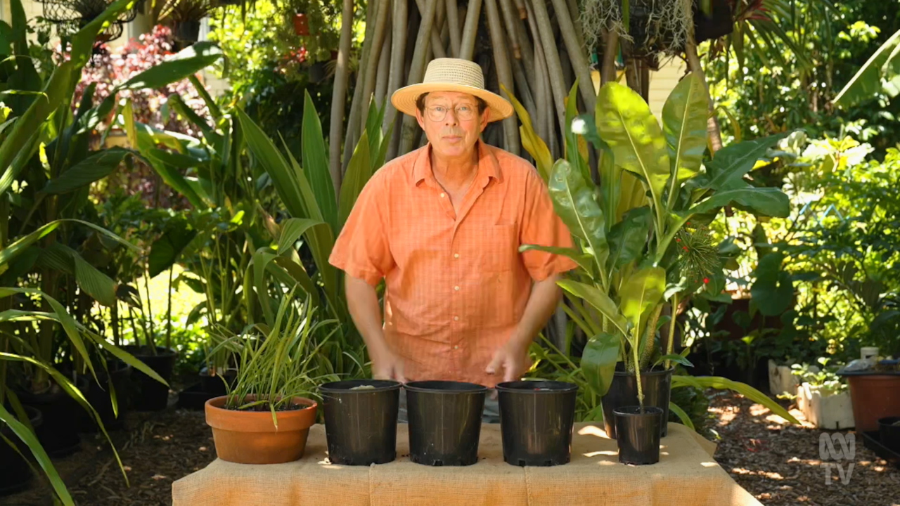 Gardening Australia 34-8