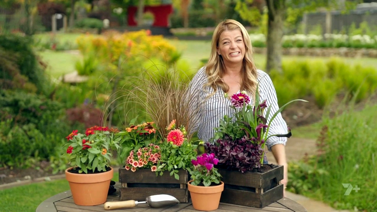 Better Homes and Gardens 29-15