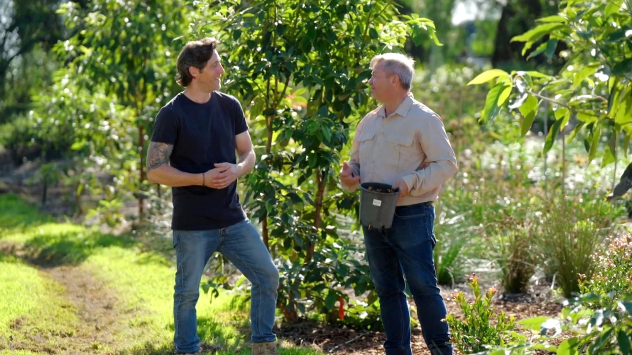 Better Homes and Gardens 29-17
