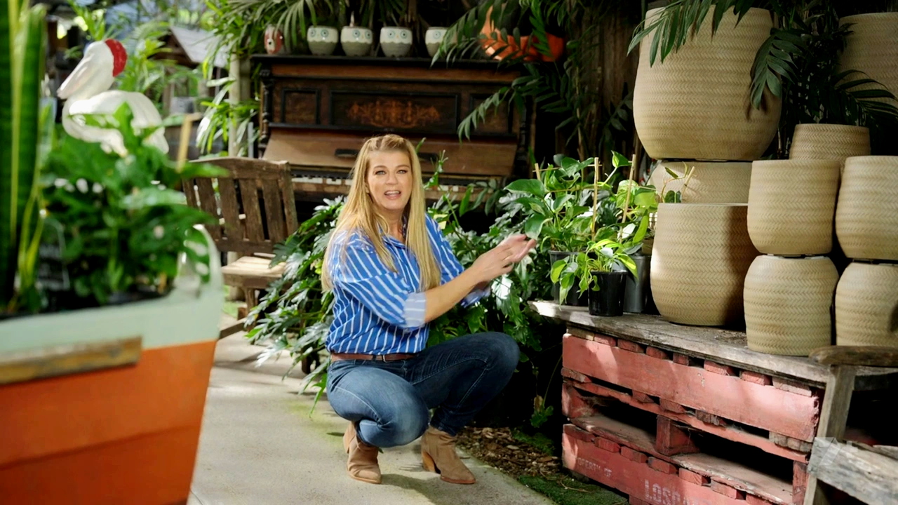 Better Homes and Gardens 29-21