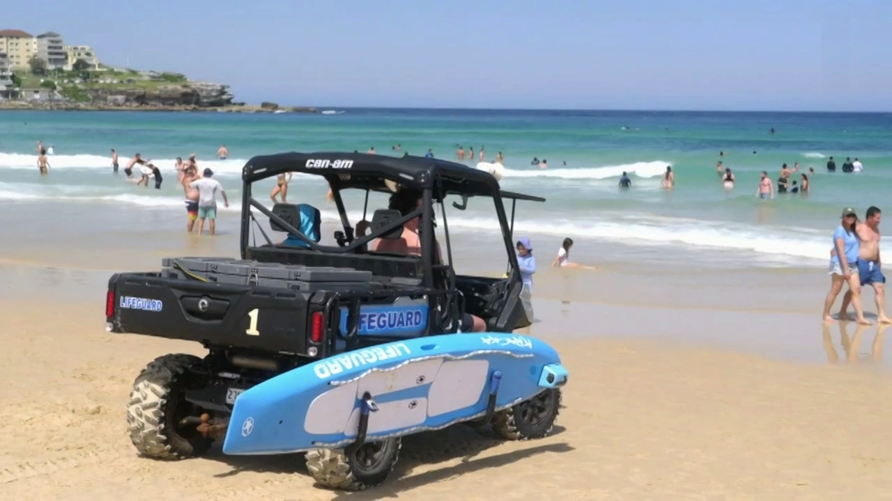 Bondi Rescue 17-9