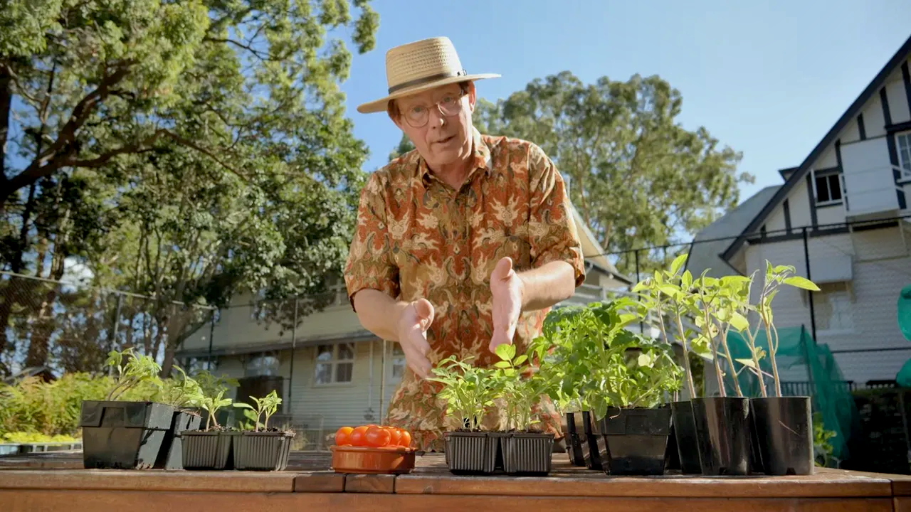 Gardening Australia 34-16