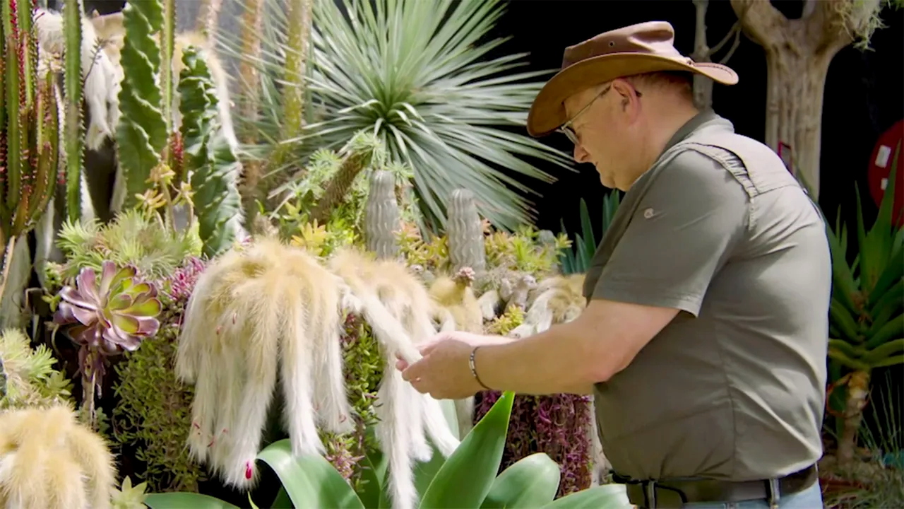 Gardening Australia 34-17