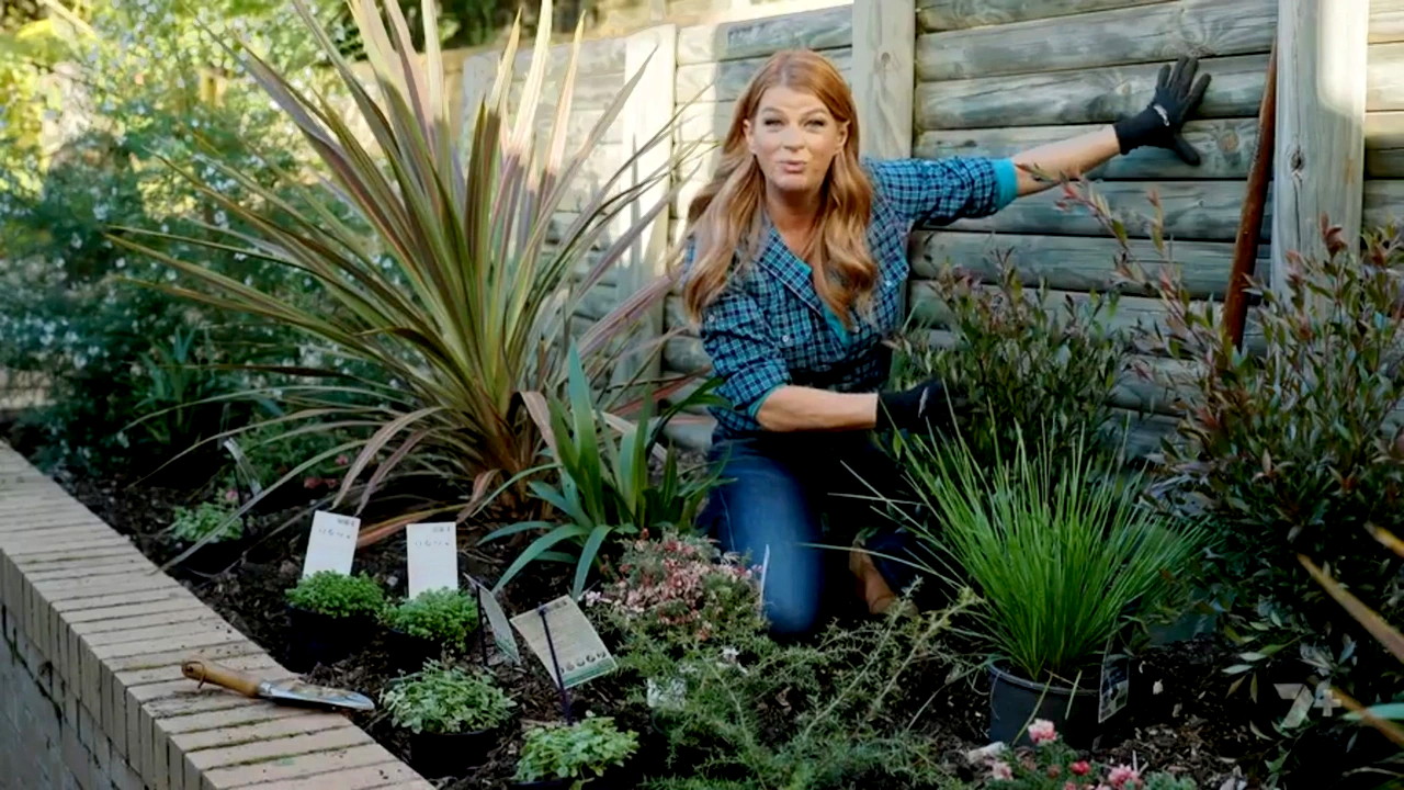 Better Homes and Gardens 29-33