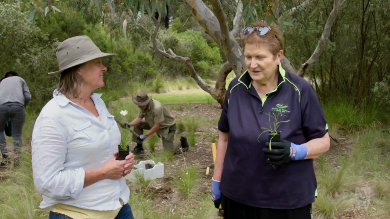 Gardening Australia 34-23