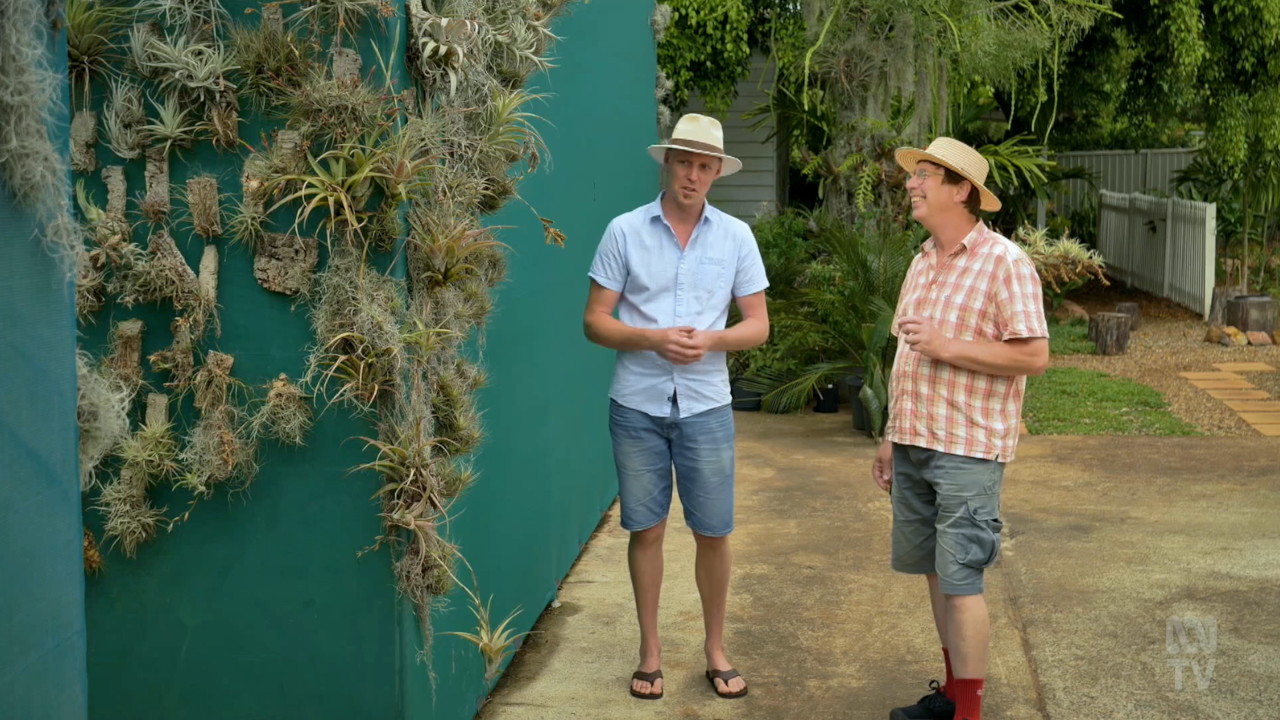 Gardening Australia 34-26