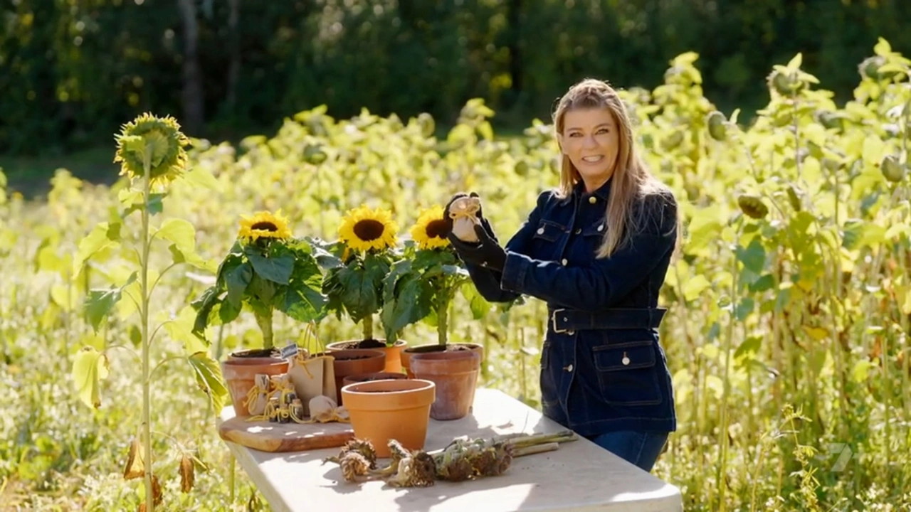 Better Homes and Gardens 29-36