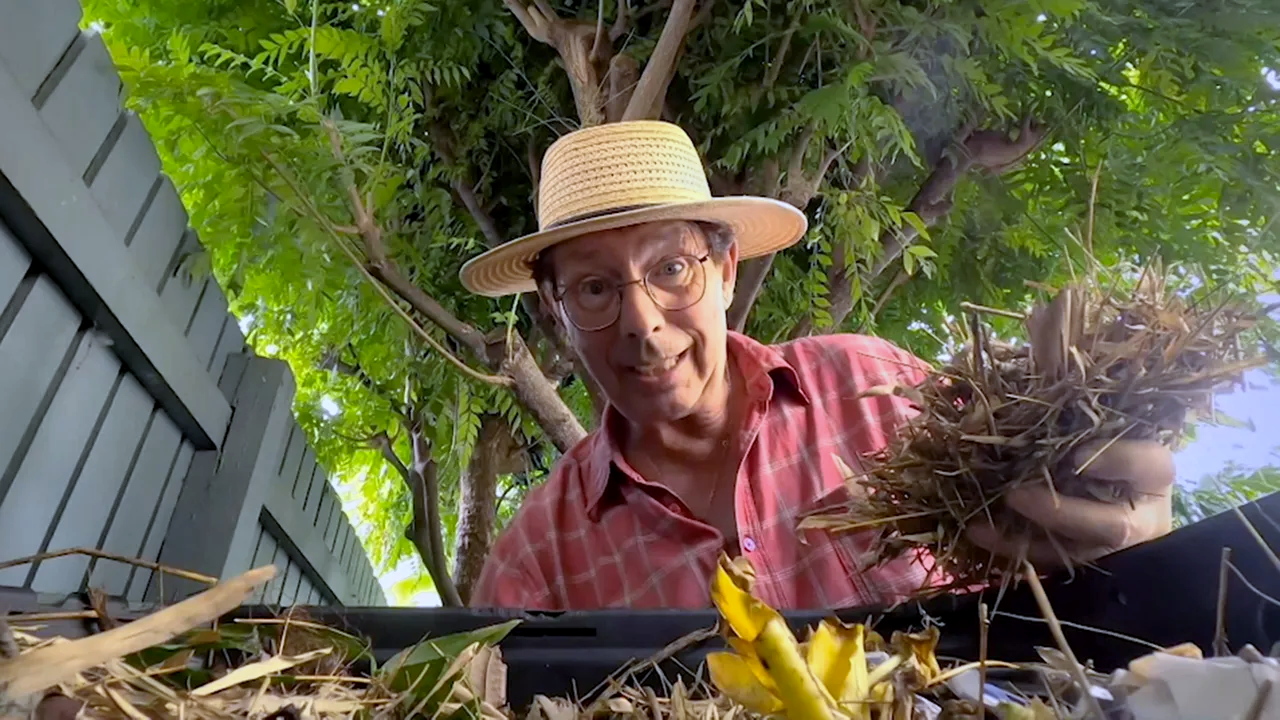 Gardening Australia 34-29