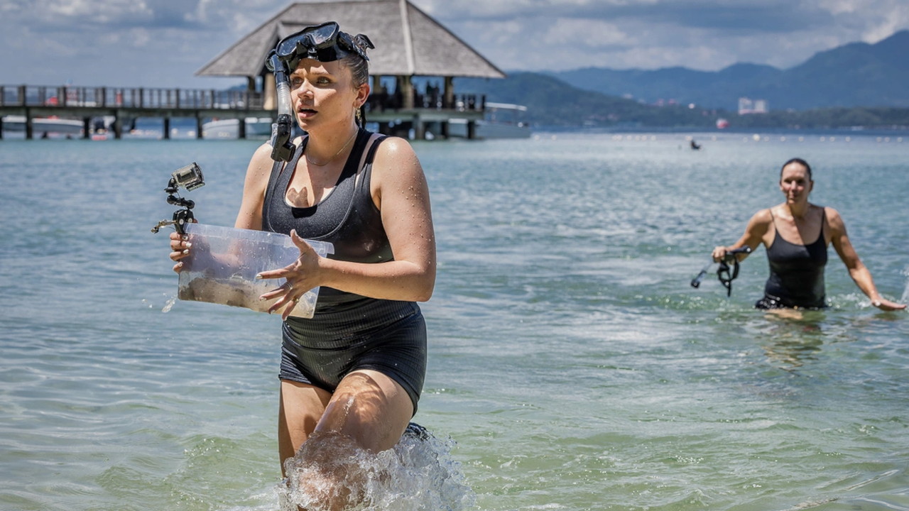 The Amazing Race 7-10