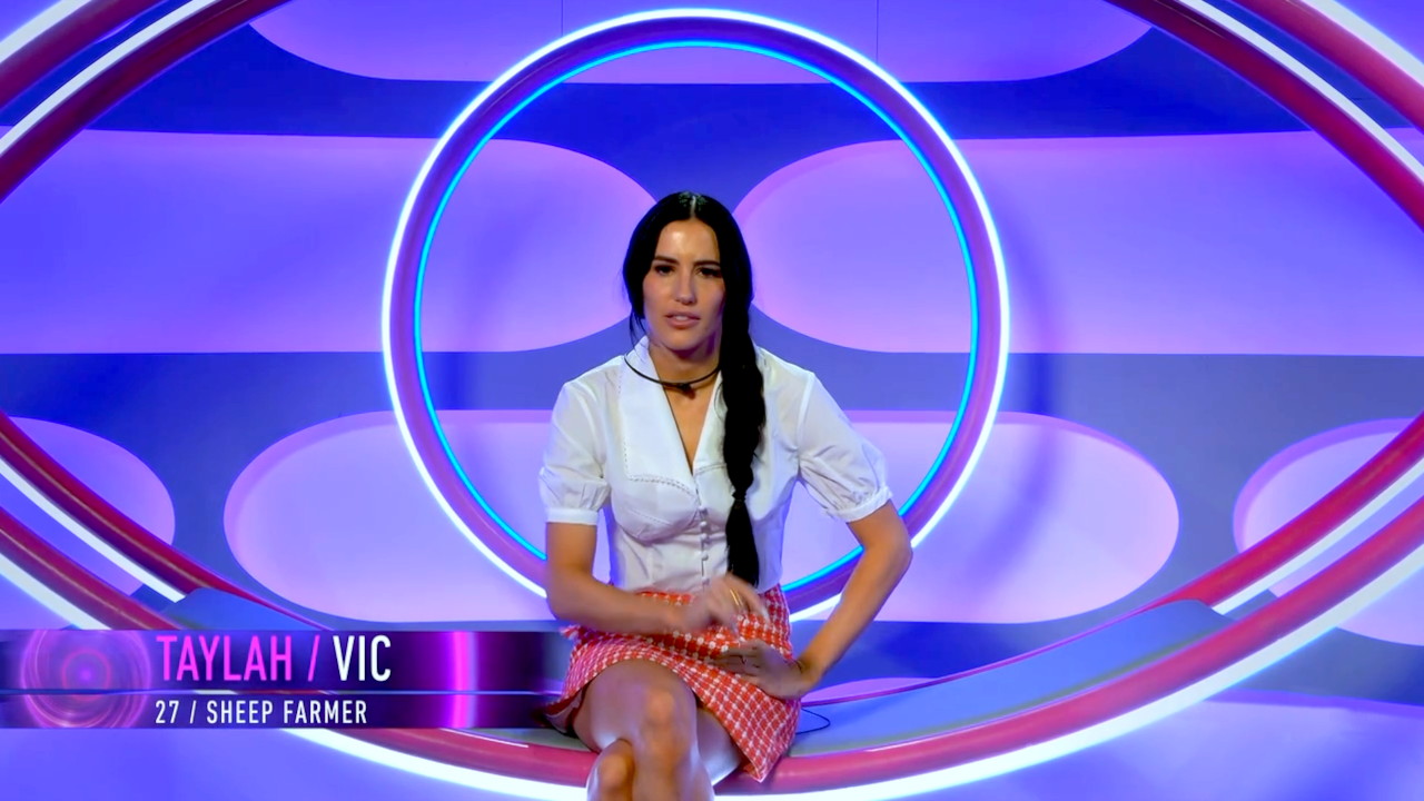 Big Brother 15-3