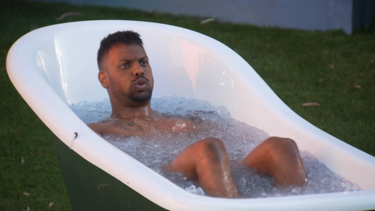 Big Brother 15-9