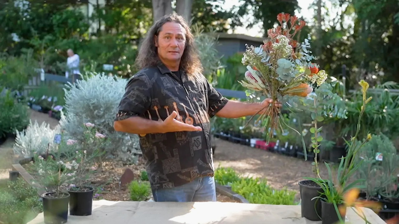 Gardening Australia 34-33