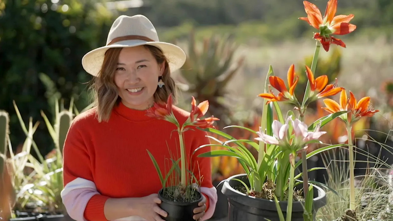 Gardening Australia 35-4
