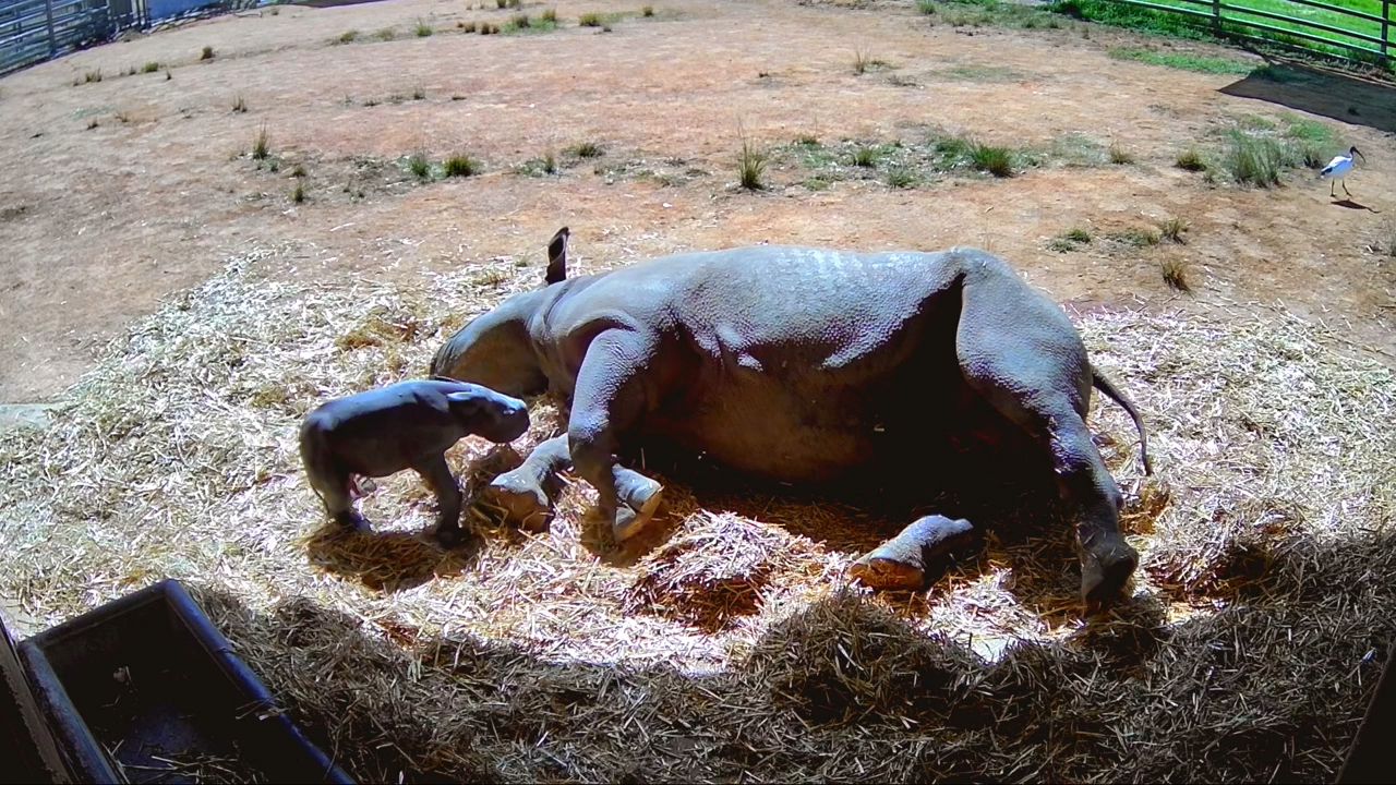 Inside Taronga Zoo 4-9
