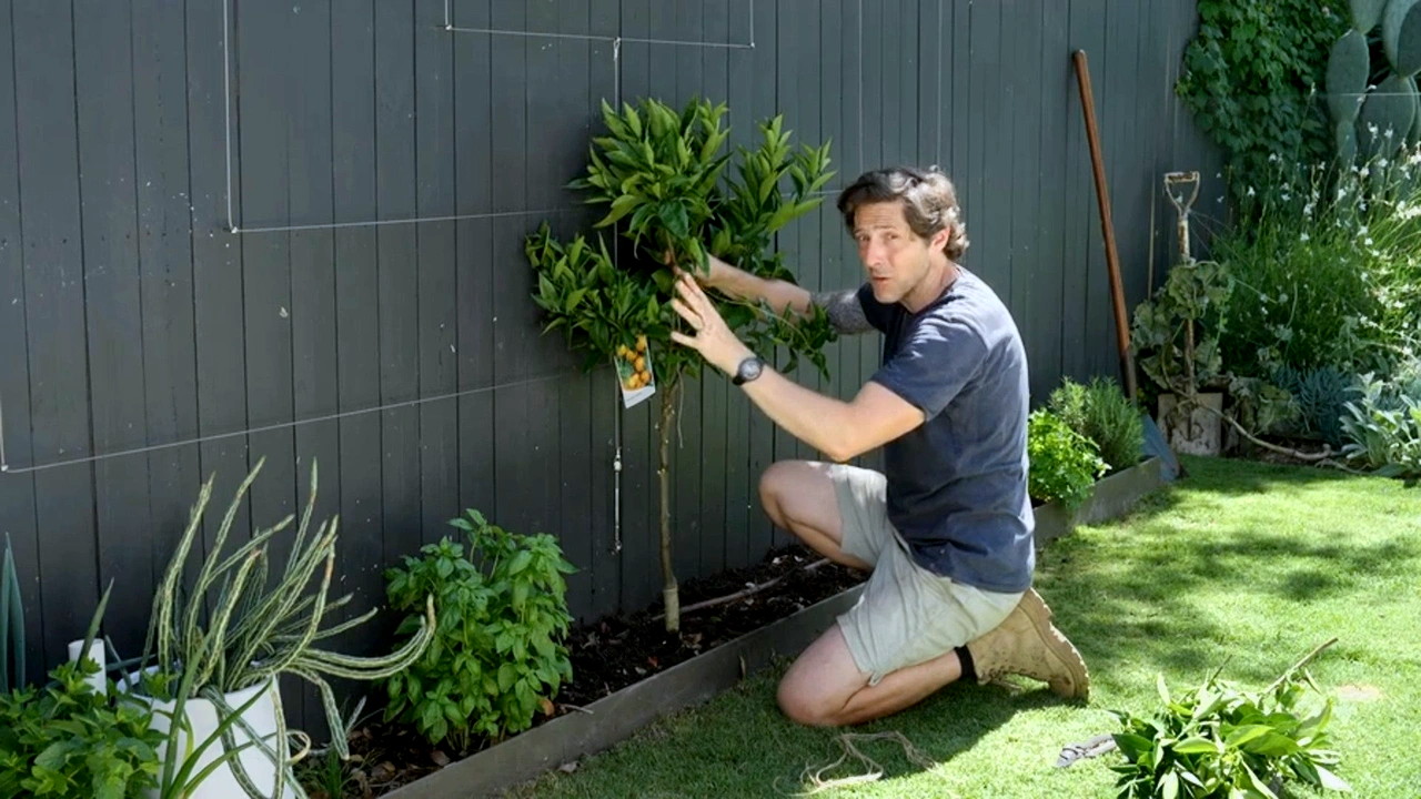 Better Homes and Gardens 30-5